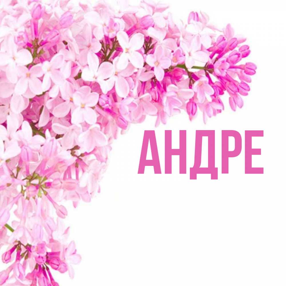 андра имя. имя андра. имя андра. именины риммы. Andre картинка имени.