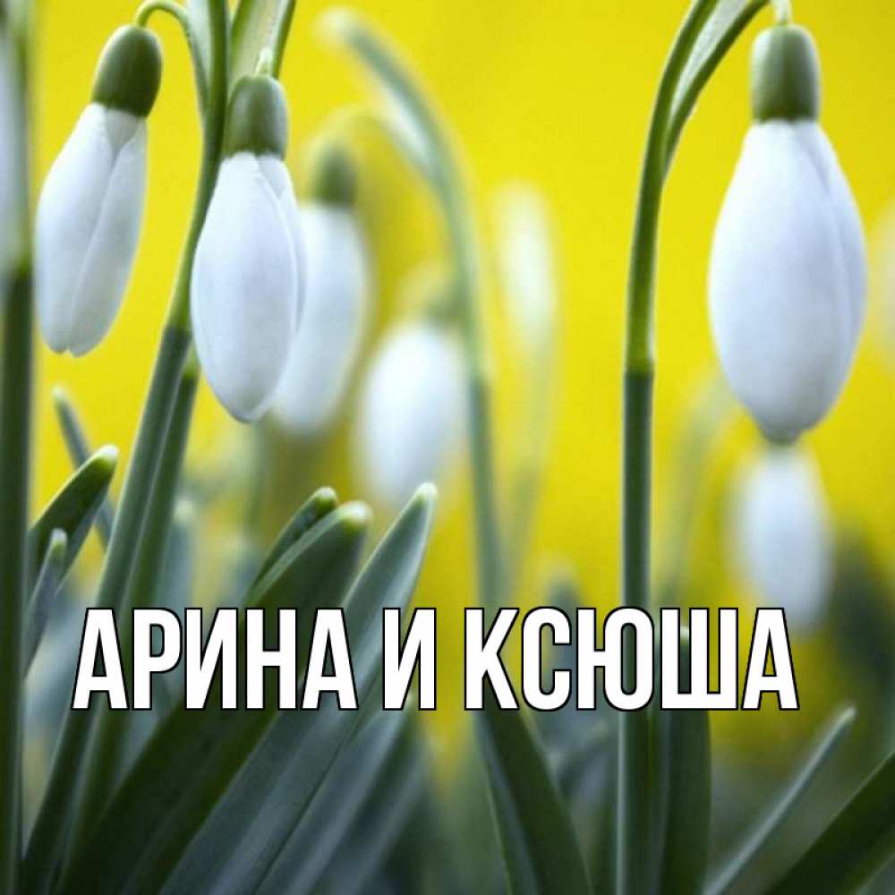 Открытка на каждый день с именем, Арина-и-Ксюша Главная весенние цветы Прикольная открытка с пожеланием онлайн скачать бесплатно 