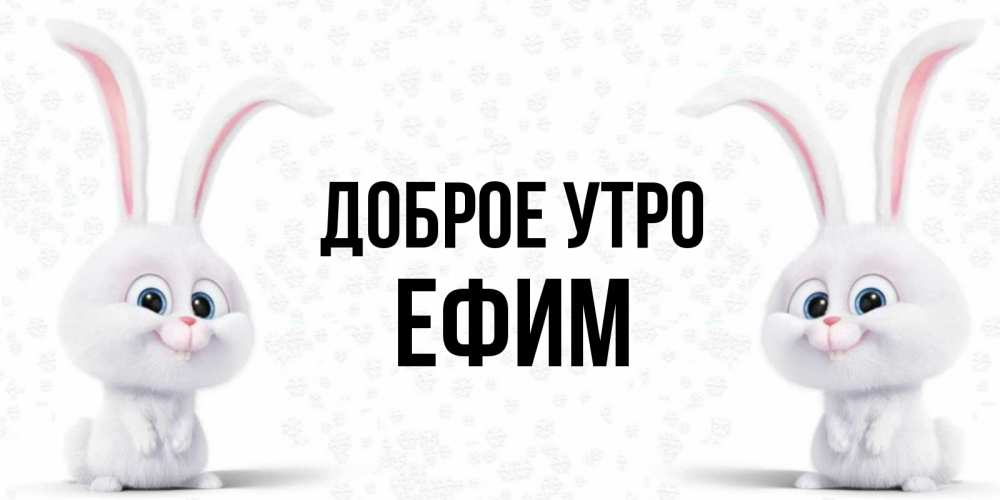 Открытка на каждый день с именем, Ефим Доброе утро кролики с длинными ушками Прикольная открытка с пожеланием онлайн скачать бесплатно 
