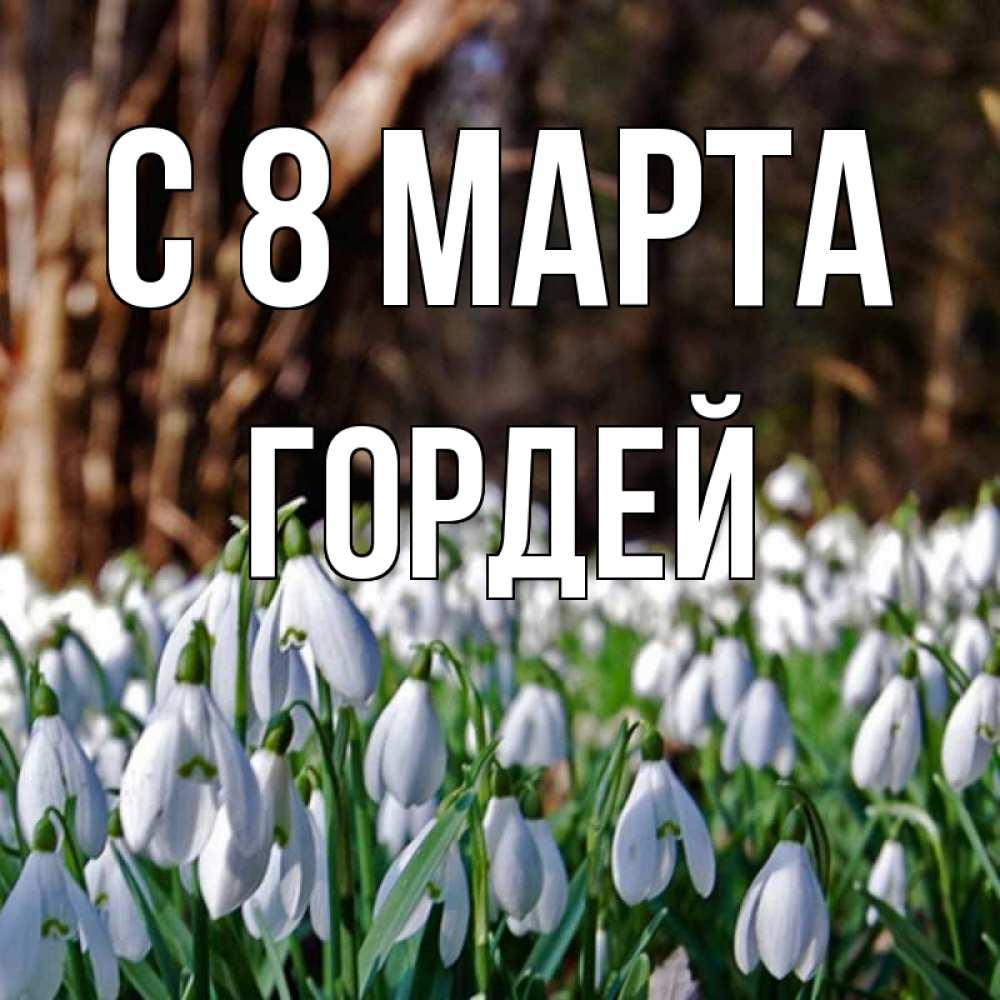 Картинка С 8 МАРТА, Гордей