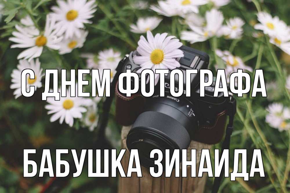 Открытка на каждый день с именем, Бабушка-Зинаида С днем фотографа с днем фотографа Прикольная открытка с пожеланием онлайн скачать бесплатно 
