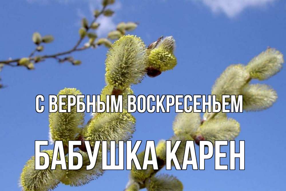 Открытка на каждый день с именем, Бабушка-Карен С вербным воскресеньем верба Прикольная открытка с пожеланием онлайн скачать бесплатно 