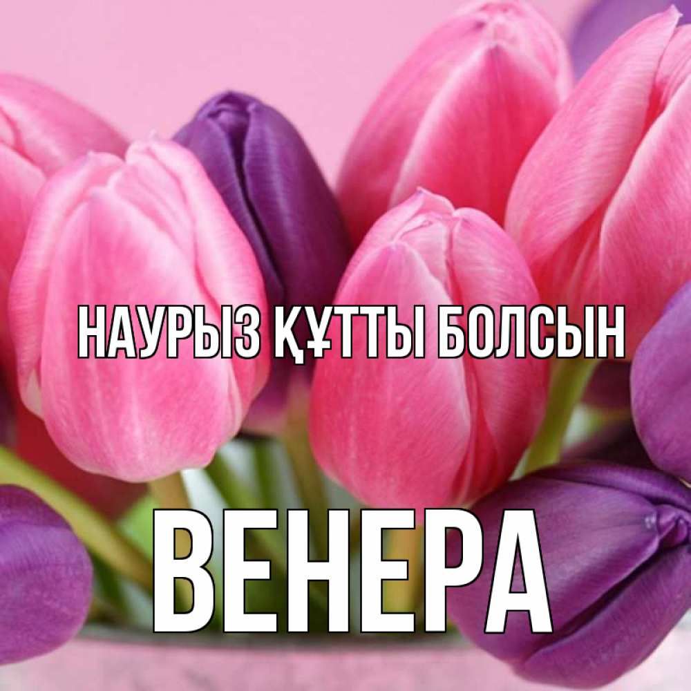 Открытка на каждый день с именем, Венера Наурыз құтты болсын маме 1 Прикольная открытка с пожеланием онлайн скачать бесплатно 