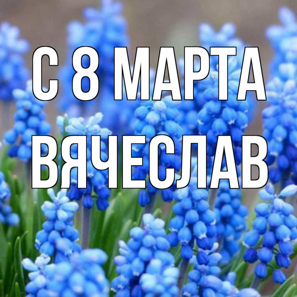 Открытка на каждый день с именем, Вячеслав С 8 МАРТА Поздравительная открытка для женщин с цветами на праздничную дату Прикольная открытка с пожеланием онлайн скачать бесплатно 