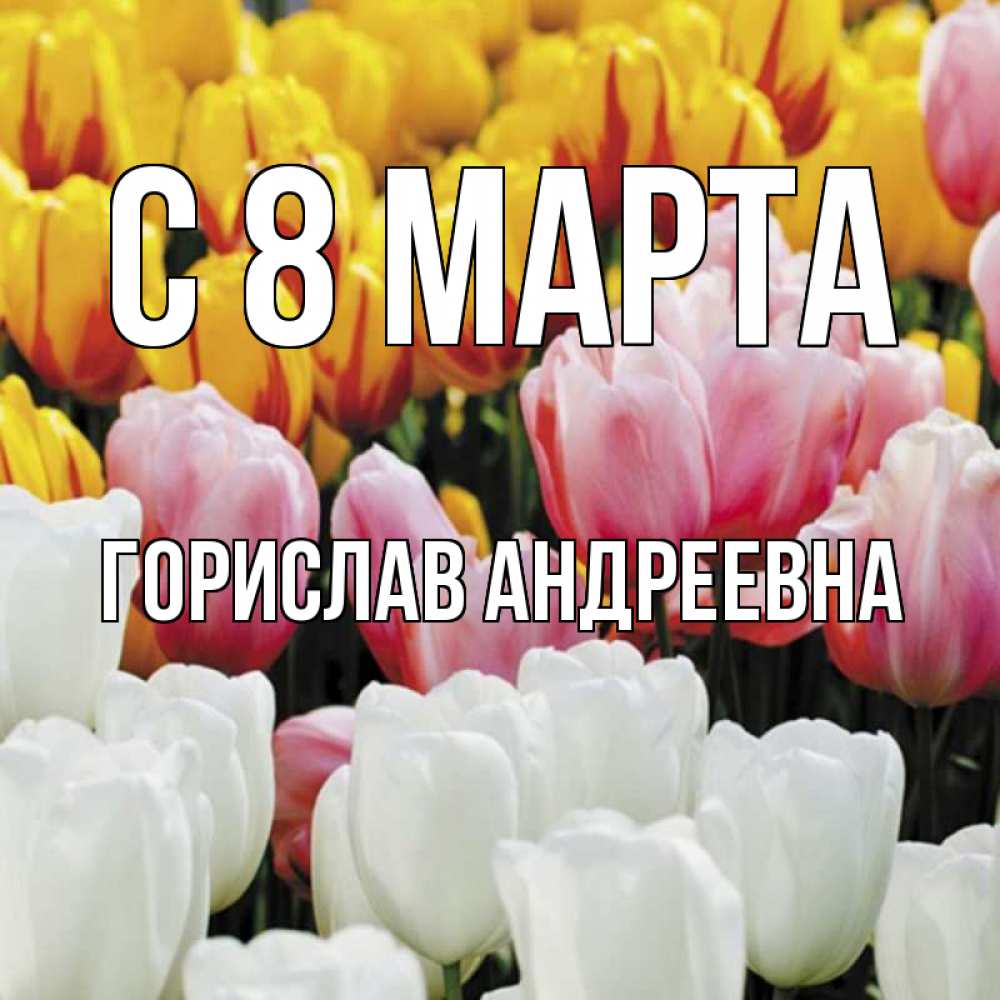 Открытка на каждый день с именем, Горислав-Андреевна С 8 марта разноцветные цветы Прикольная открытка с пожеланием онлайн скачать бесплатно 