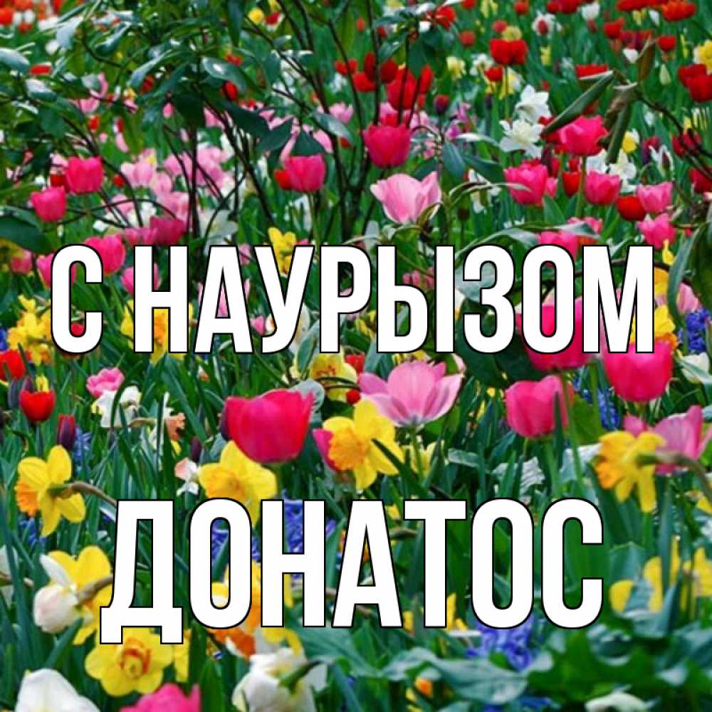 Открытка на каждый день с именем, Донатос С наурызом с наурызом праздником весны поздравления для женщины Прикольная открытка с пожеланием онлайн скачать бесплатно 