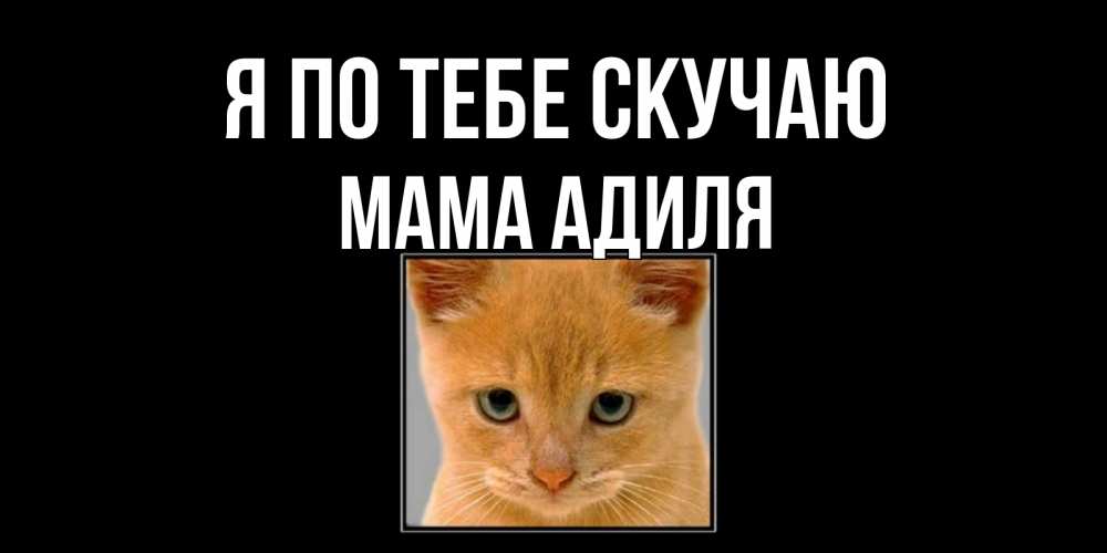 Открытка на каждый день с именем, Мама-Адиля Я по тебе скучаю открытки рыжий котенок скучает по тебе Прикольная открытка с пожеланием онлайн скачать бесплатно 