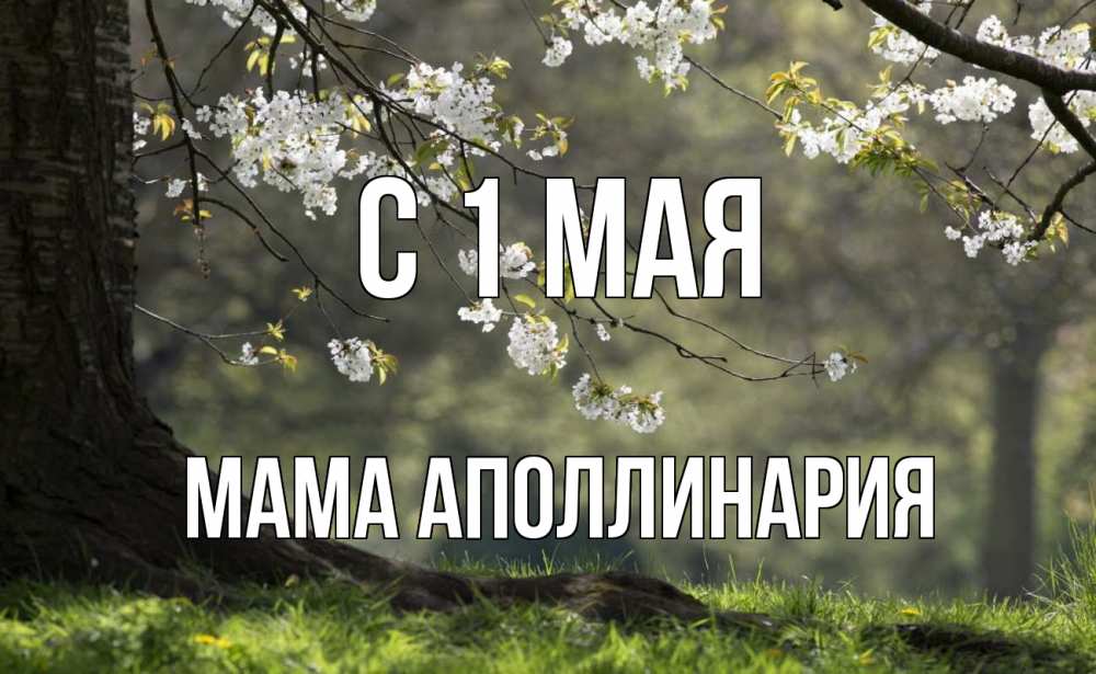 Открытка на каждый день с именем, Мама-Аполлинария С 1 мая С 1 мая Прикольная открытка с пожеланием онлайн скачать бесплатно 