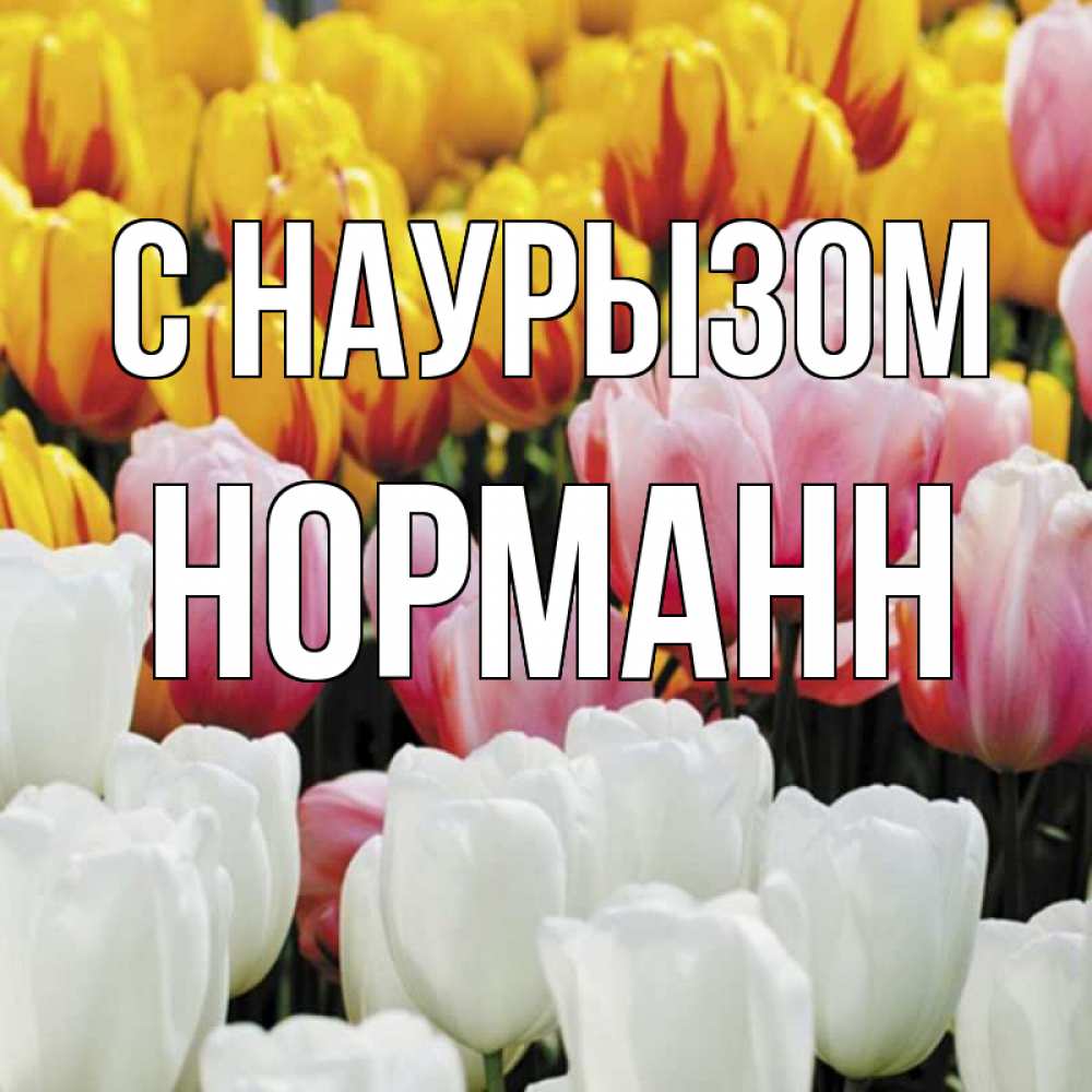 Открытка на каждый день с именем, Норманн С наурызом разноцветные цветы Прикольная открытка с пожеланием онлайн скачать бесплатно 