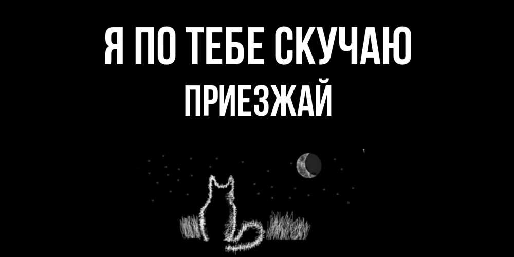 Открытка на каждый день с именем, Приезжай Я по тебе скучаю кот Прикольная открытка с пожеланием онлайн скачать бесплатно 