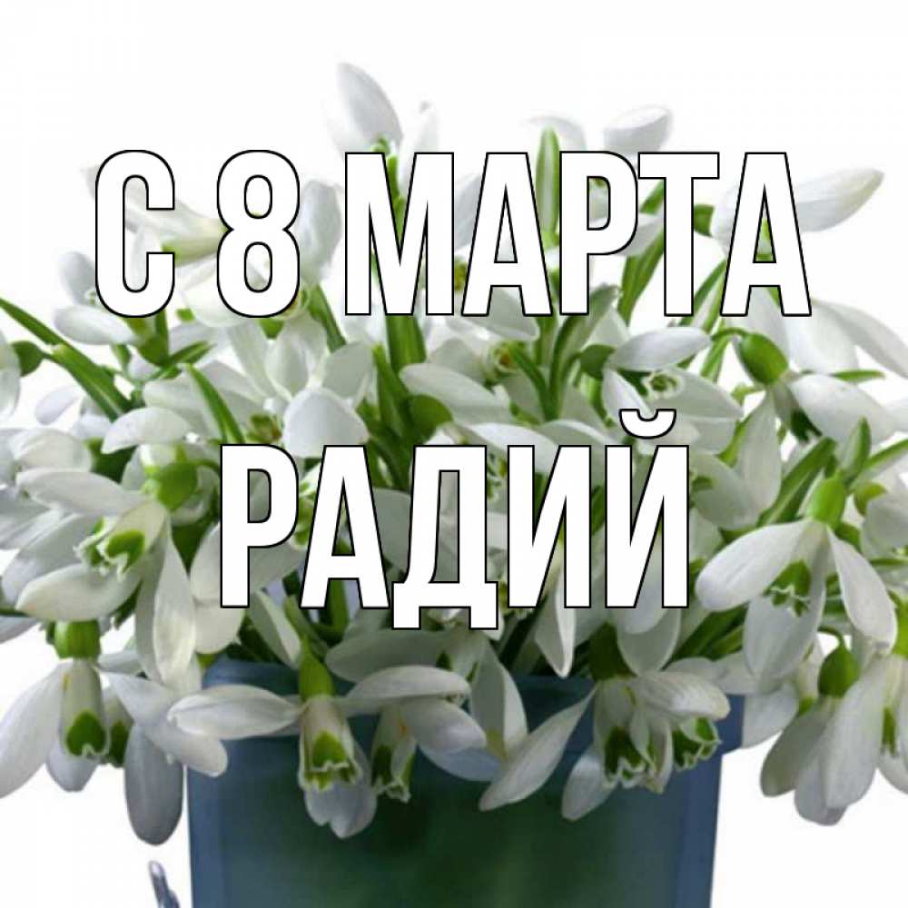 Открытка на каждый день с именем, Радий С 8 МАРТА цветы к международному женскому дню Прикольная открытка с пожеланием онлайн скачать бесплатно 