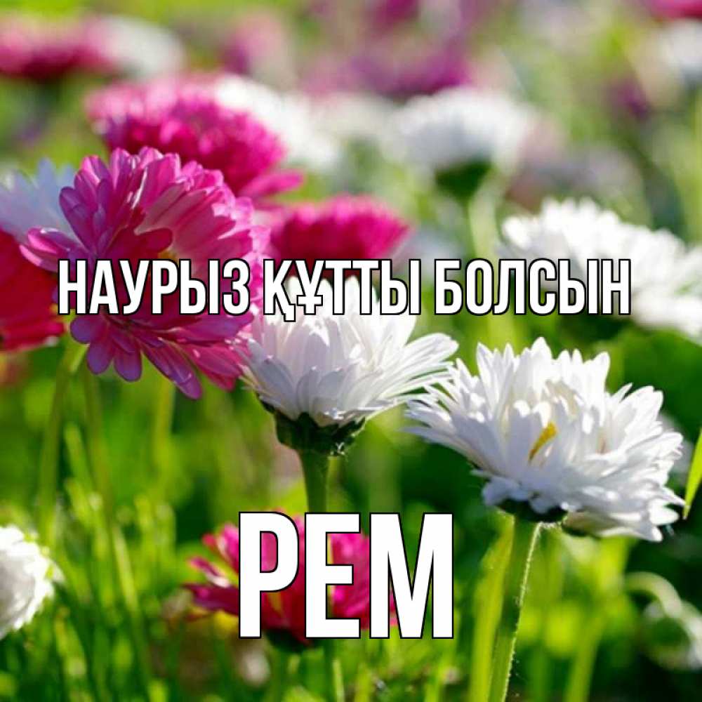 Открытка на каждый день с именем, Рем Наурыз құтты болсын наурыз Прикольная открытка с пожеланием онлайн скачать бесплатно 