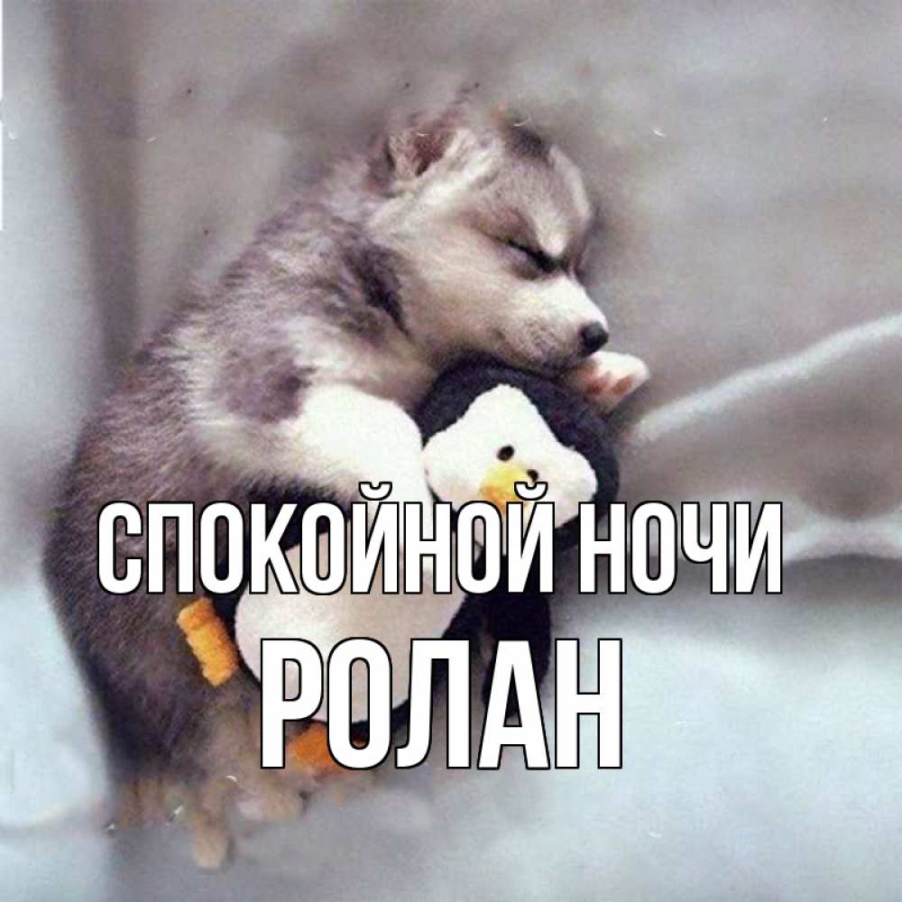 Открытка на каждый день с именем, Ролан Спокойной ночи обнимашки щенка и пингвина Прикольная открытка с пожеланием онлайн скачать бесплатно 