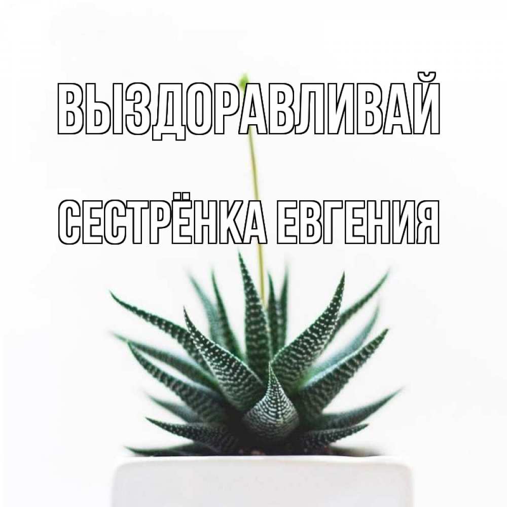 Открытка на каждый день с именем, Сестрёнка-Евгения Выздоравливай короче это непонятная колючка Прикольная открытка с пожеланием онлайн скачать бесплатно 