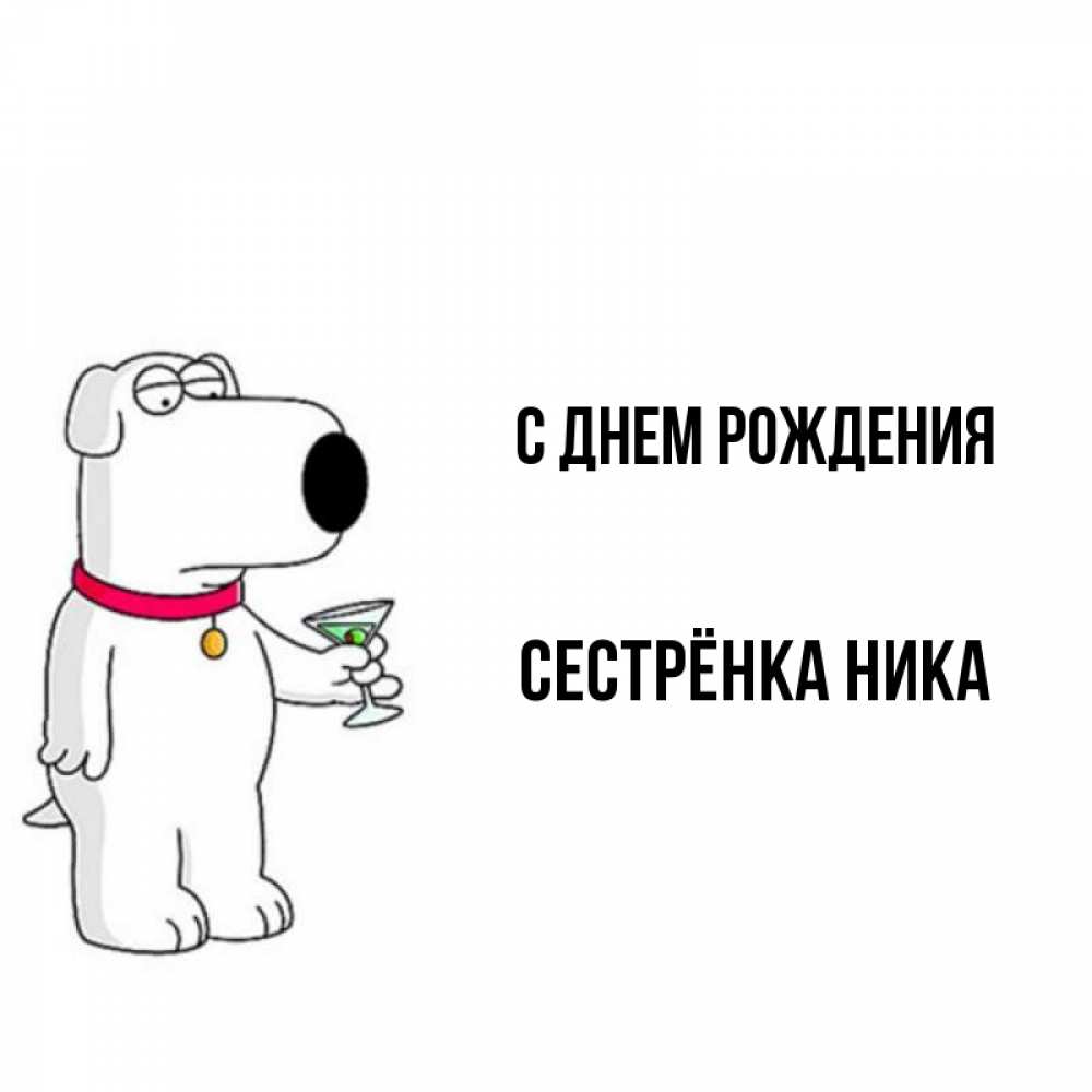 Открытка на каждый день с именем, Сестрёнка-Ника С днем рождения песик с оливками Прикольная открытка с пожеланием онлайн скачать бесплатно 