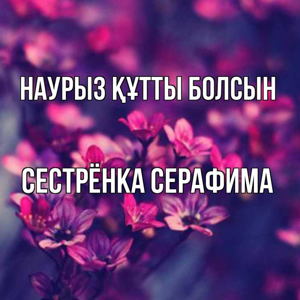 Открытка на каждый день с именем, Сестрёнка-Серафима Наурыз құтты болсын небольшие цветы 1 Прикольная открытка с пожеланием онлайн скачать бесплатно 