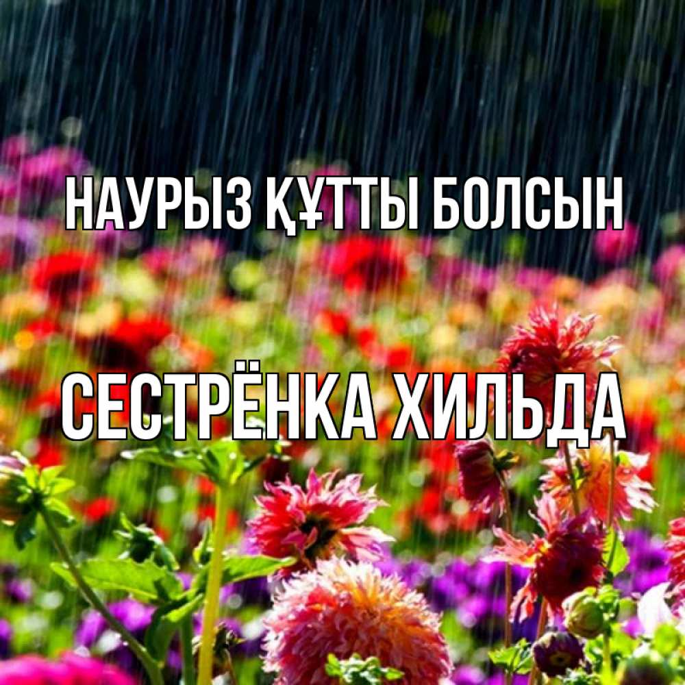 Открытка на каждый день с именем, Сестрёнка-Хильда Наурыз құтты болсын цветы под дождиком к наурызу Прикольная открытка с пожеланием онлайн скачать бесплатно 