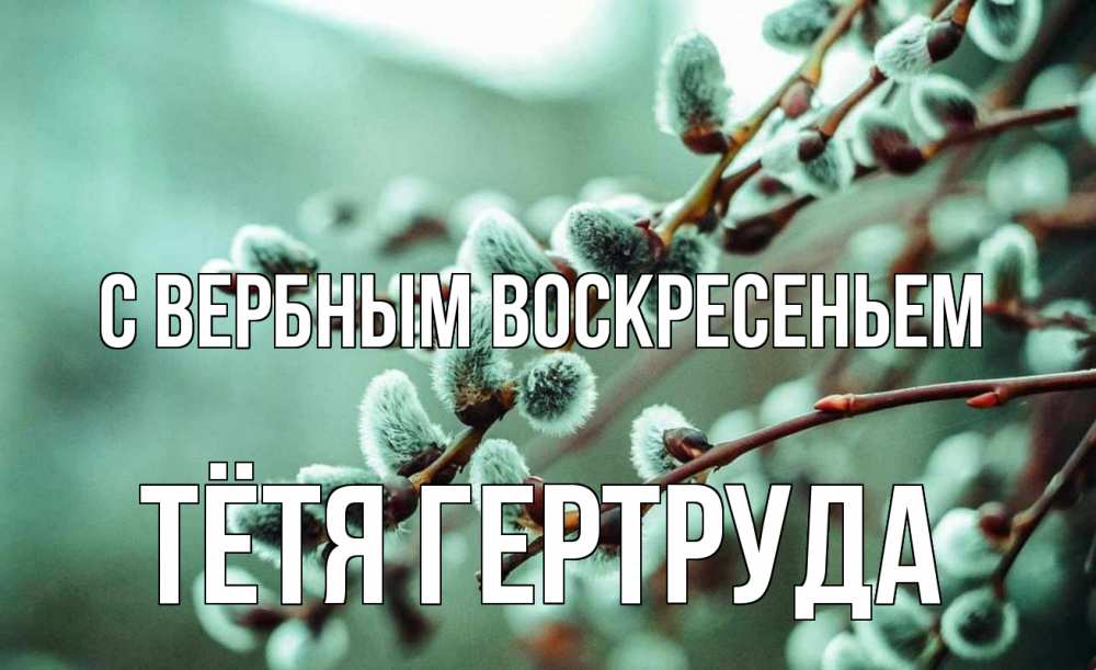 Открытка на каждый день с именем, Тётя-Гертруда С вербным воскресеньем верба Прикольная открытка с пожеланием онлайн скачать бесплатно 