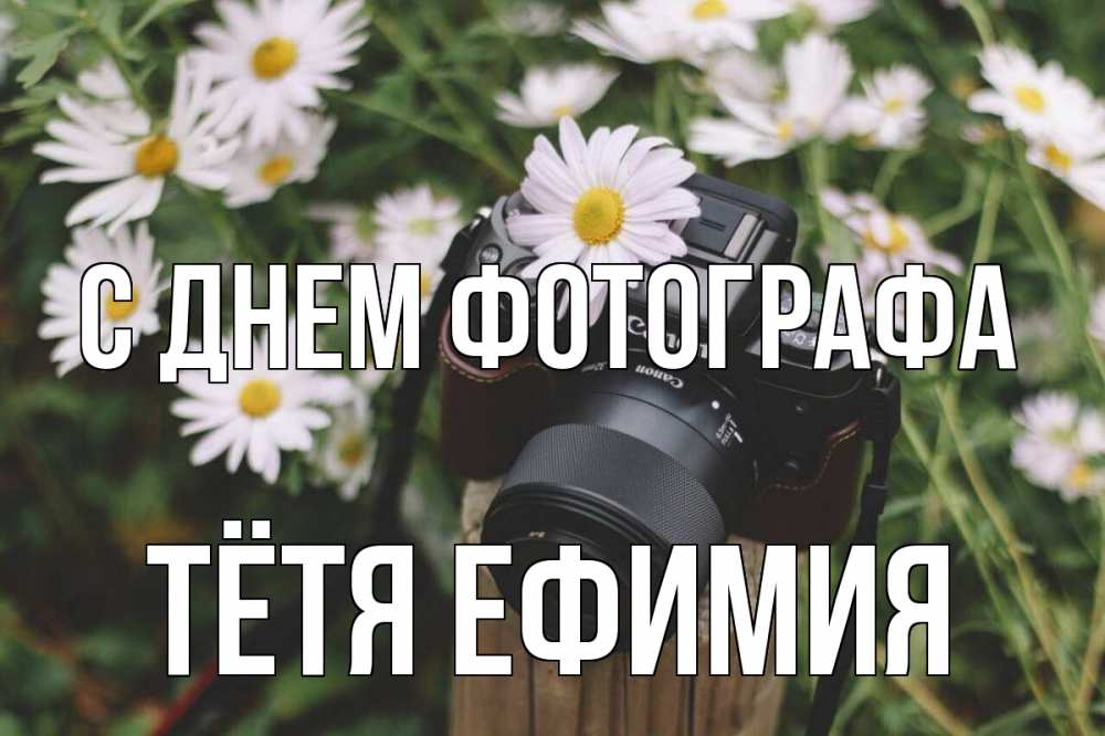 Открытка на каждый день с именем, Тётя-Ефимия С днем фотографа с днем фотографа Прикольная открытка с пожеланием онлайн скачать бесплатно 