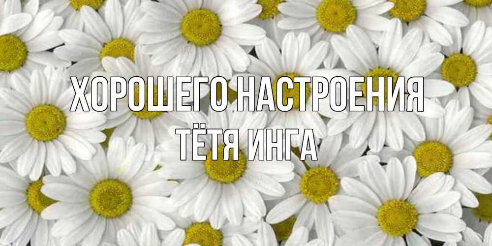 Открытка на каждый день с именем, Тётя-Инга Хорошего настроения поляна ромашек Прикольная открытка с пожеланием онлайн скачать бесплатно 