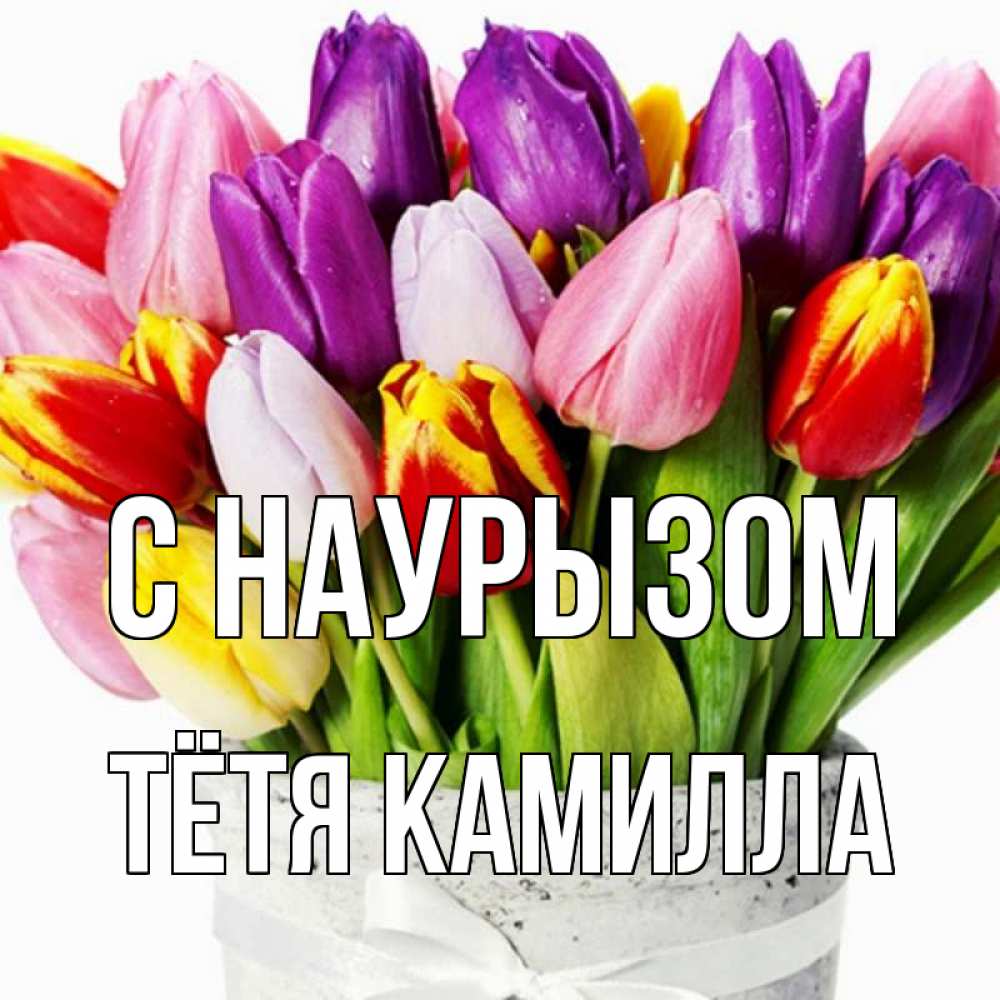 Открытка на каждый день с именем, Тётя-Камилла С наурызом букет Прикольная открытка с пожеланием онлайн скачать бесплатно 