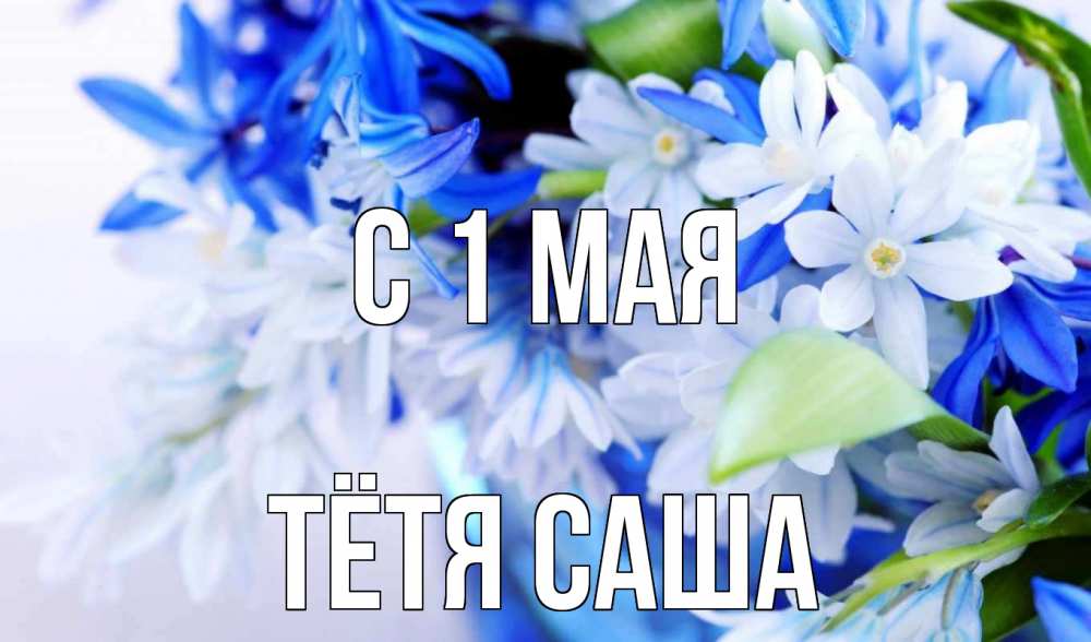 Открытка на каждый день с именем, Тётя-Саша С 1 мая С 1 мая Прикольная открытка с пожеланием онлайн скачать бесплатно 