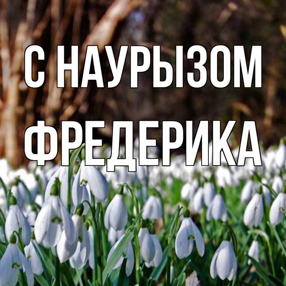 Открытка на каждый день с именем, Фредерика С наурызом с подснежниками 1 Прикольная открытка с пожеланием онлайн скачать бесплатно 