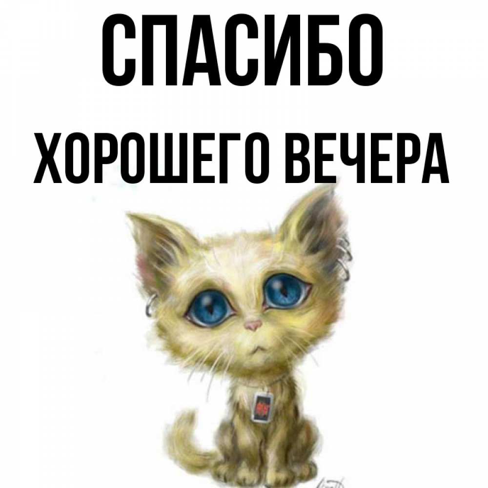 Открытка на каждый день с именем, -Хорошего-вечера Спасибо рисованный кот благодарит вас Прикольная открытка с пожеланием онлайн скачать бесплатно 
