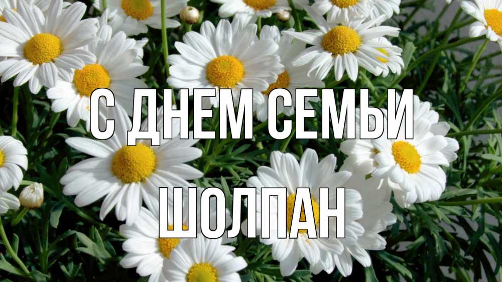 Открытка на каждый день с именем, Шолпан С днем семьи с днем семьи Прикольная открытка с пожеланием онлайн скачать бесплатно 