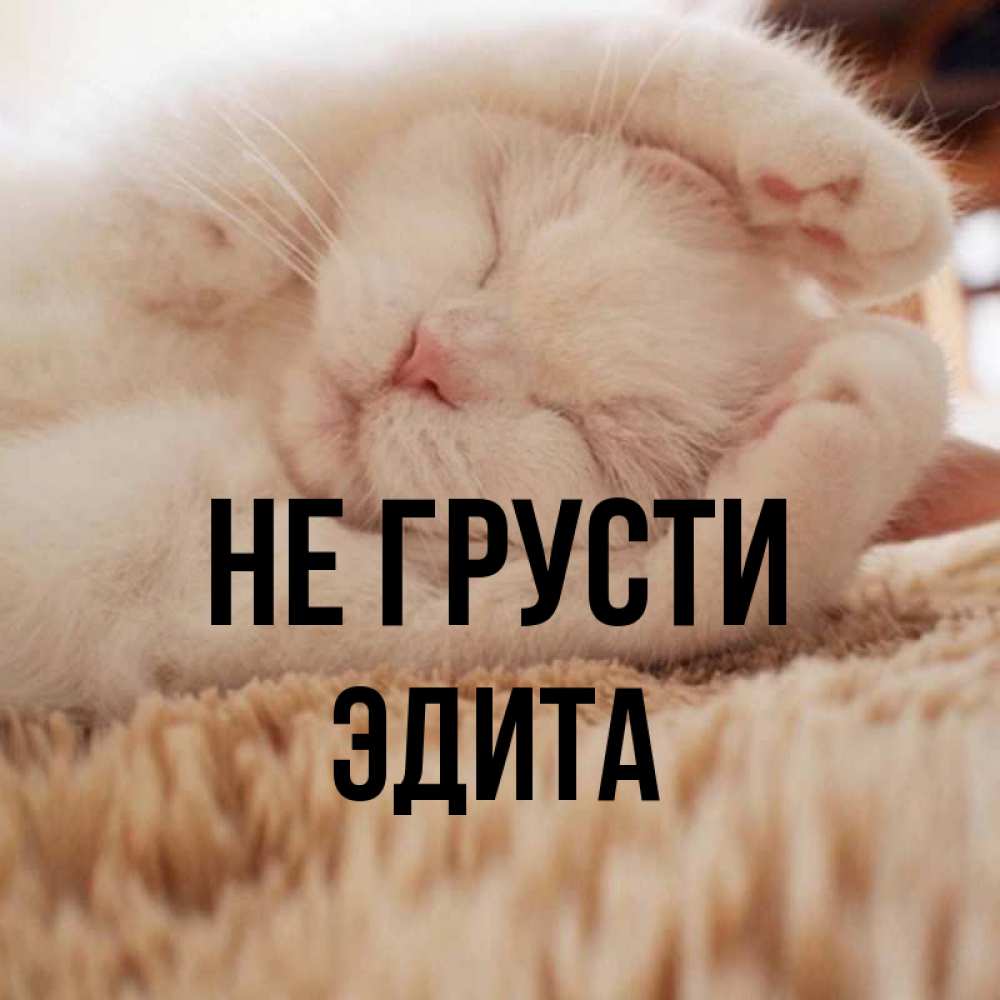 Открытка на каждый день с именем, Эдита Не грусти Котенок спит Прикольная открытка с пожеланием онлайн скачать бесплатно 