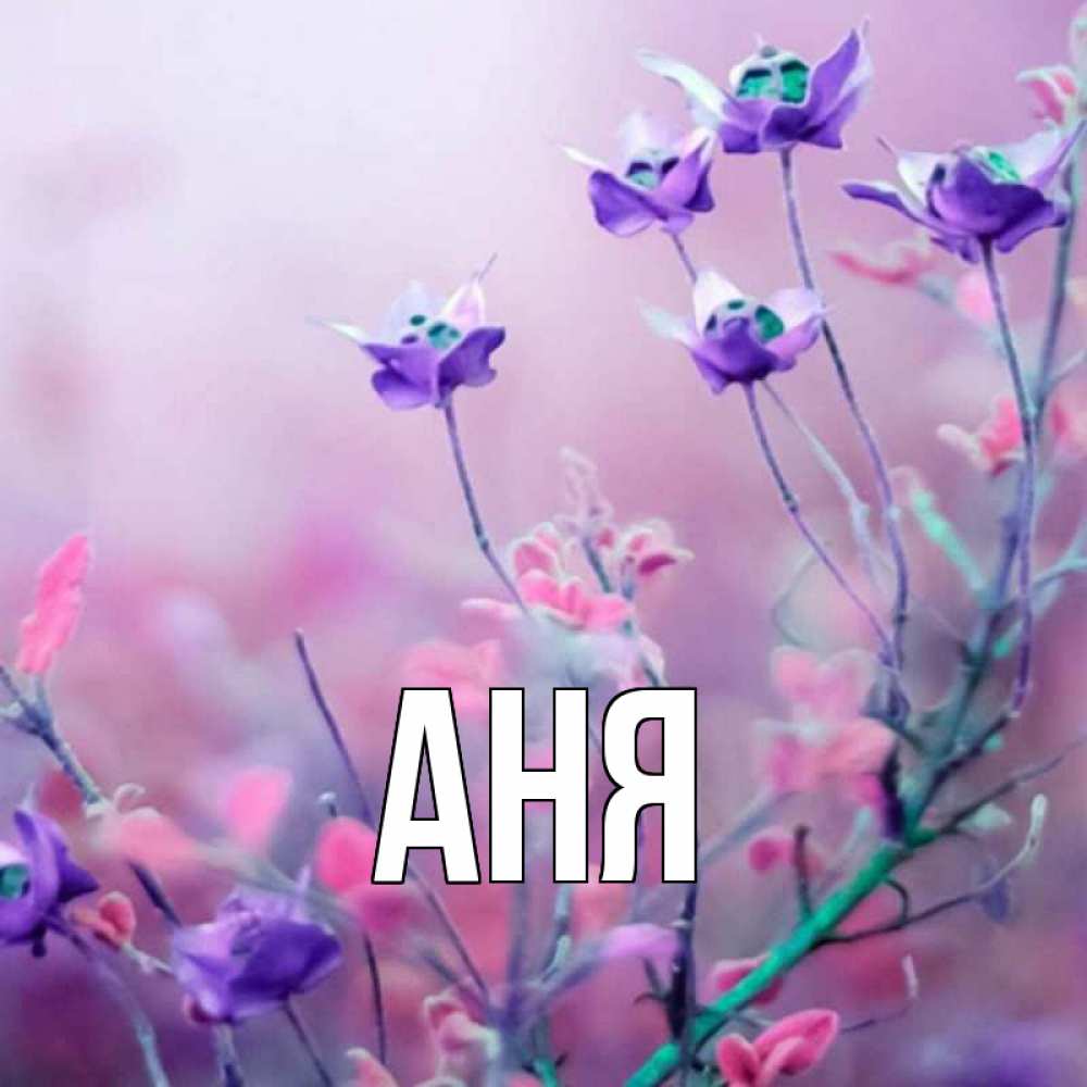 Именные картинки аня