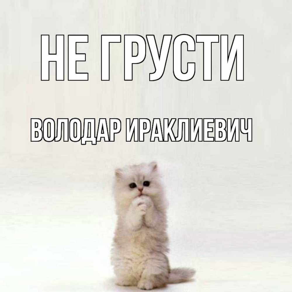 Открытка на каждый день с именем, Володар-Ираклиевич Не грусти грустный кот Прикольная открытка с пожеланием онлайн скачать бесплатно 