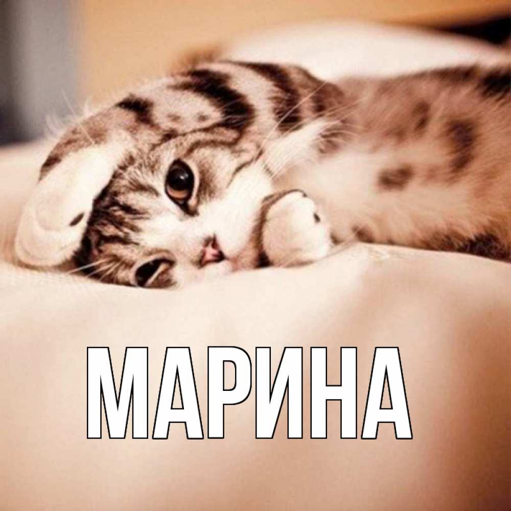Открытка на каждый день с именем, Марина Главная сладких снов с животными Прикольная открытка с пожеланием онлайн скачать бесплатно 