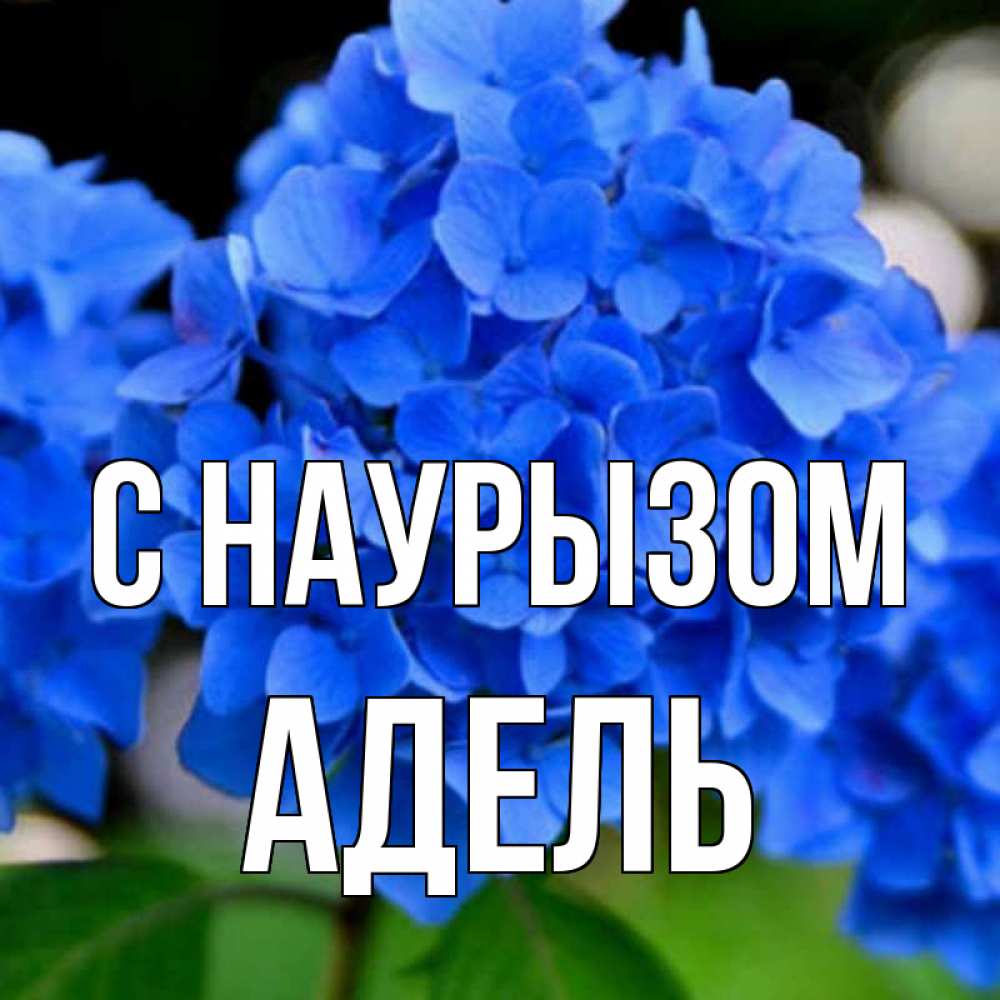 Открытка на каждый день с именем, Адель С наурызом синие цветы Прикольная открытка с пожеланием онлайн скачать бесплатно 