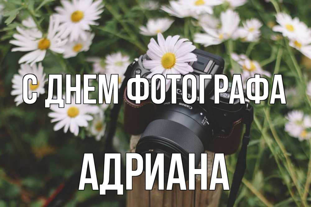 Открытка на каждый день с именем, Адриана С днем фотографа с днем фотографа Прикольная открытка с пожеланием онлайн скачать бесплатно 