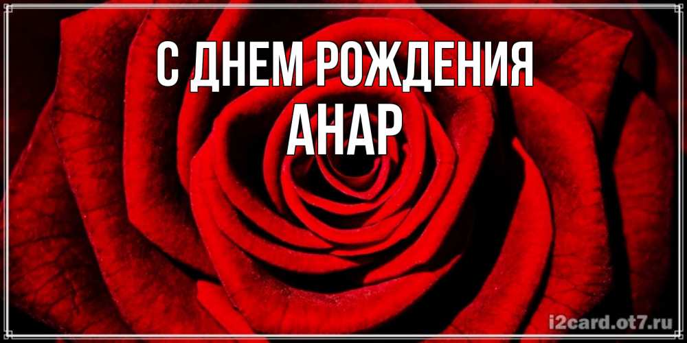 Открытка на каждый день с именем, Анар С днем рождения алая роза Прикольная открытка с пожеланием онлайн скачать бесплатно 