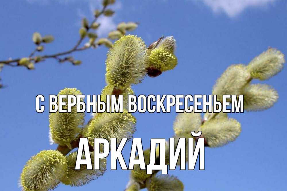 Открытка на каждый день с именем, Аркадий С вербным воскресеньем верба Прикольная открытка с пожеланием онлайн скачать бесплатно 