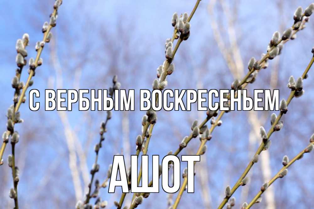 Открытка на каждый день с именем, Ашот С вербным воскресеньем верба Прикольная открытка с пожеланием онлайн скачать бесплатно 