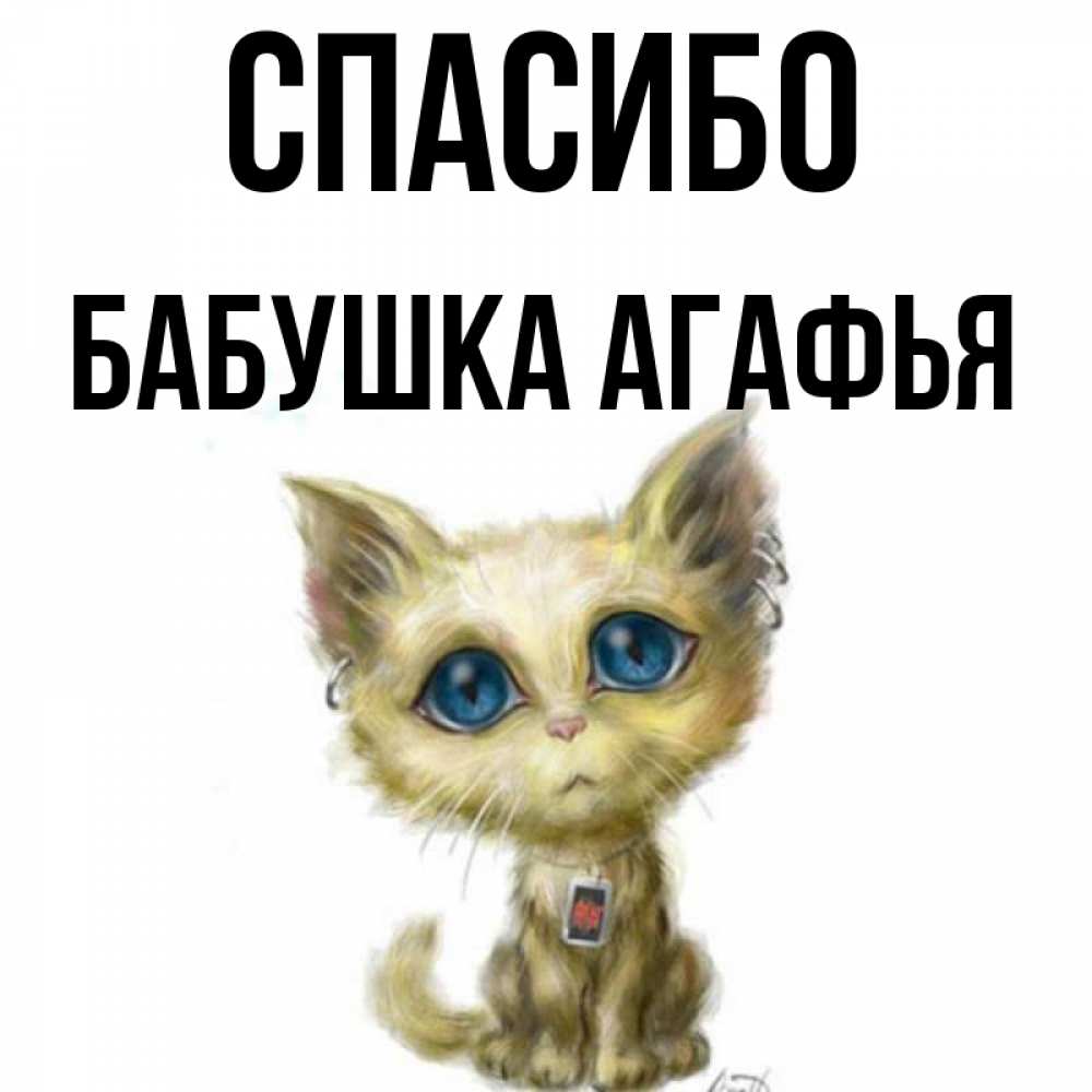 Открытка на каждый день с именем, Бабушка-Агафья Спасибо рисованный кот благодарит вас Прикольная открытка с пожеланием онлайн скачать бесплатно 