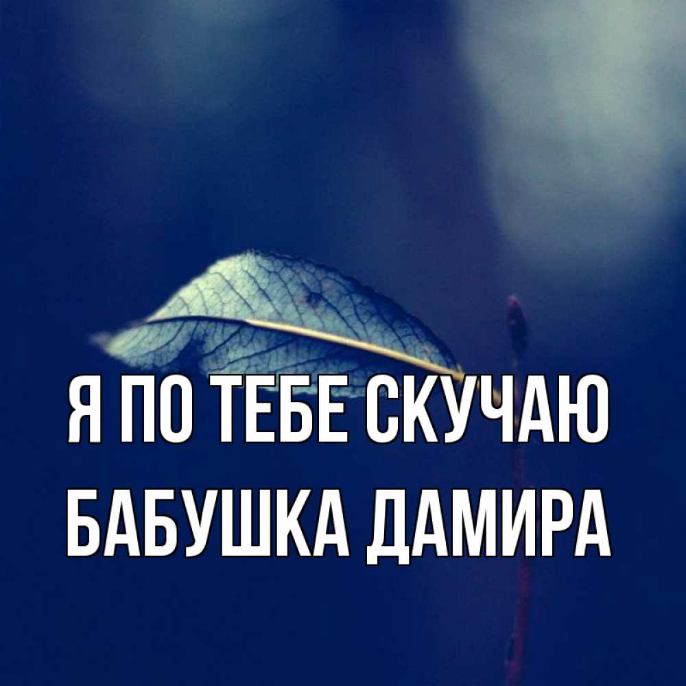 Открытка на каждый день с именем, Бабушка-Дамира Я по тебе скучаю одна ветка 1 Прикольная открытка с пожеланием онлайн скачать бесплатно 
