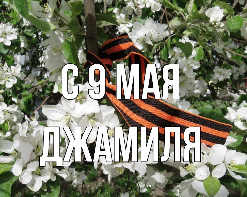 Открытка на каждый день с именем, Джамиля С 9 мая 9 мая Прикольная открытка с пожеланием онлайн скачать бесплатно 