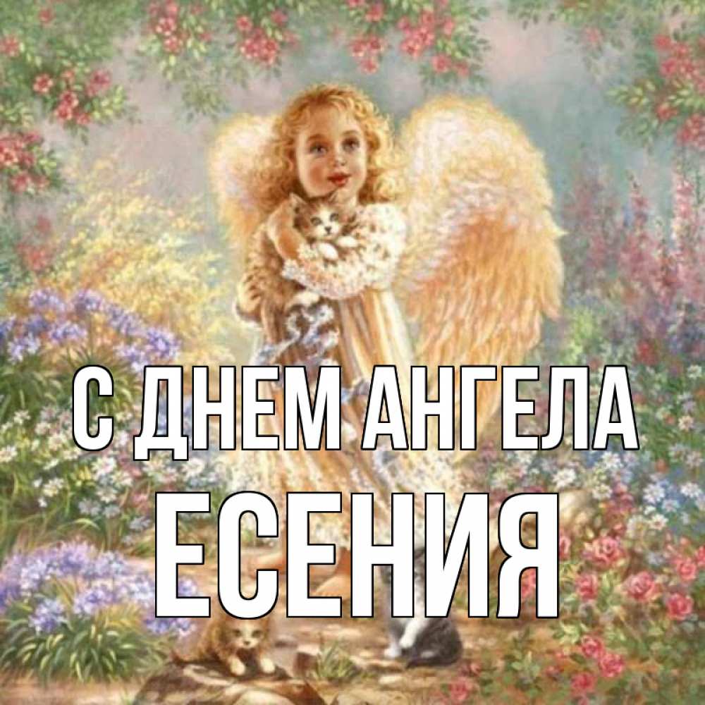 Открытка на каждый день с именем, Есения С днем ангела держит котенка Прикольная открытка с пожеланием онлайн скачать бесплатно 