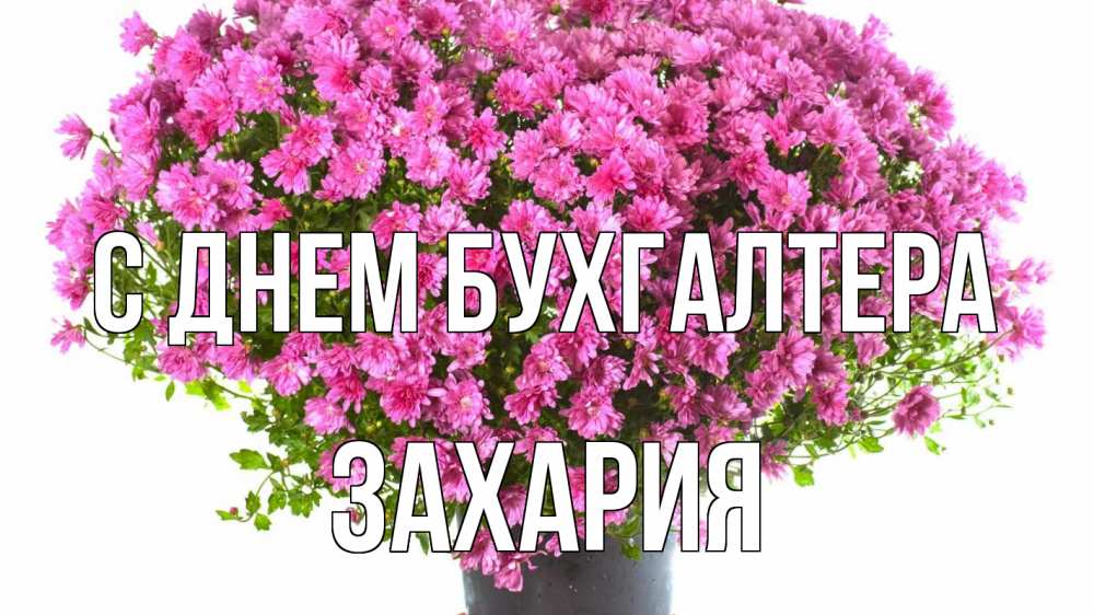 Открытка на каждый день с именем, Захария С днем бухгалтера с днем бухгалтера Прикольная открытка с пожеланием онлайн скачать бесплатно 