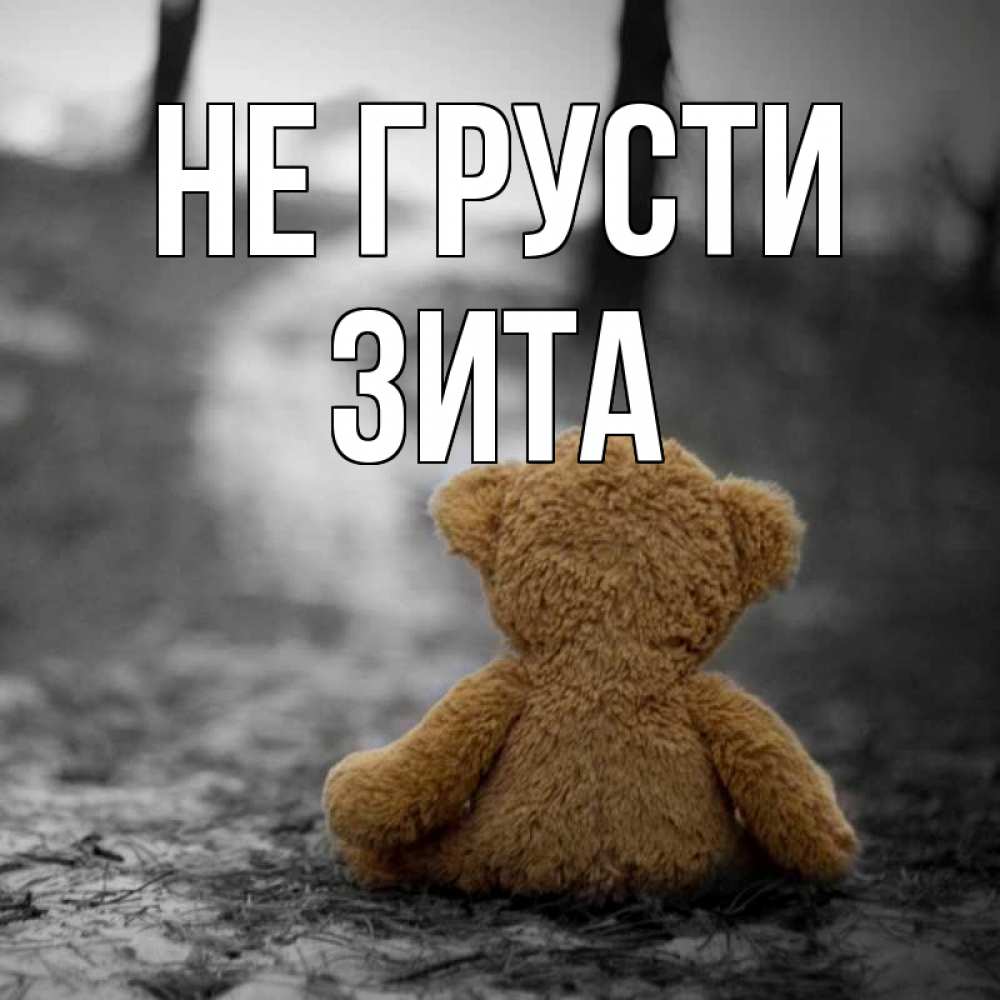 Открытка на каждый день с именем, Зита Не грусти медведь со спин Прикольная открытка с пожеланием онлайн скачать бесплатно 