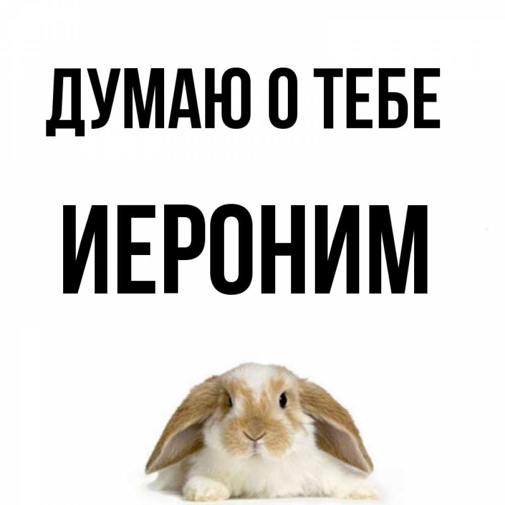 Открытка на каждый день с именем, Иероним Думаю о тебе подписать своими руками онлайн Прикольная открытка с пожеланием онлайн скачать бесплатно 