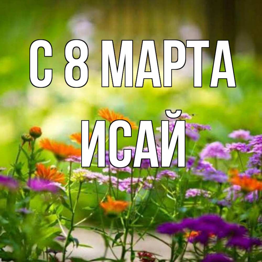 Открытка на каждый день с именем, Исай С 8 МАРТА цветы Прикольная открытка с пожеланием онлайн скачать бесплатно 