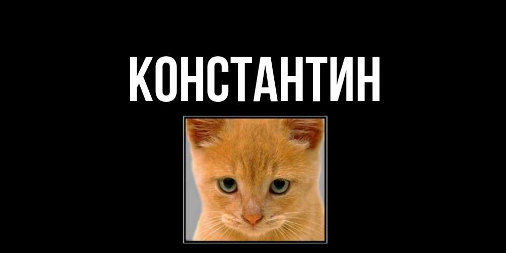 Открытка на каждый день с именем, Константин Главная рыжий грустный кот просит прощения Прикольная открытка с пожеланием онлайн скачать бесплатно 
