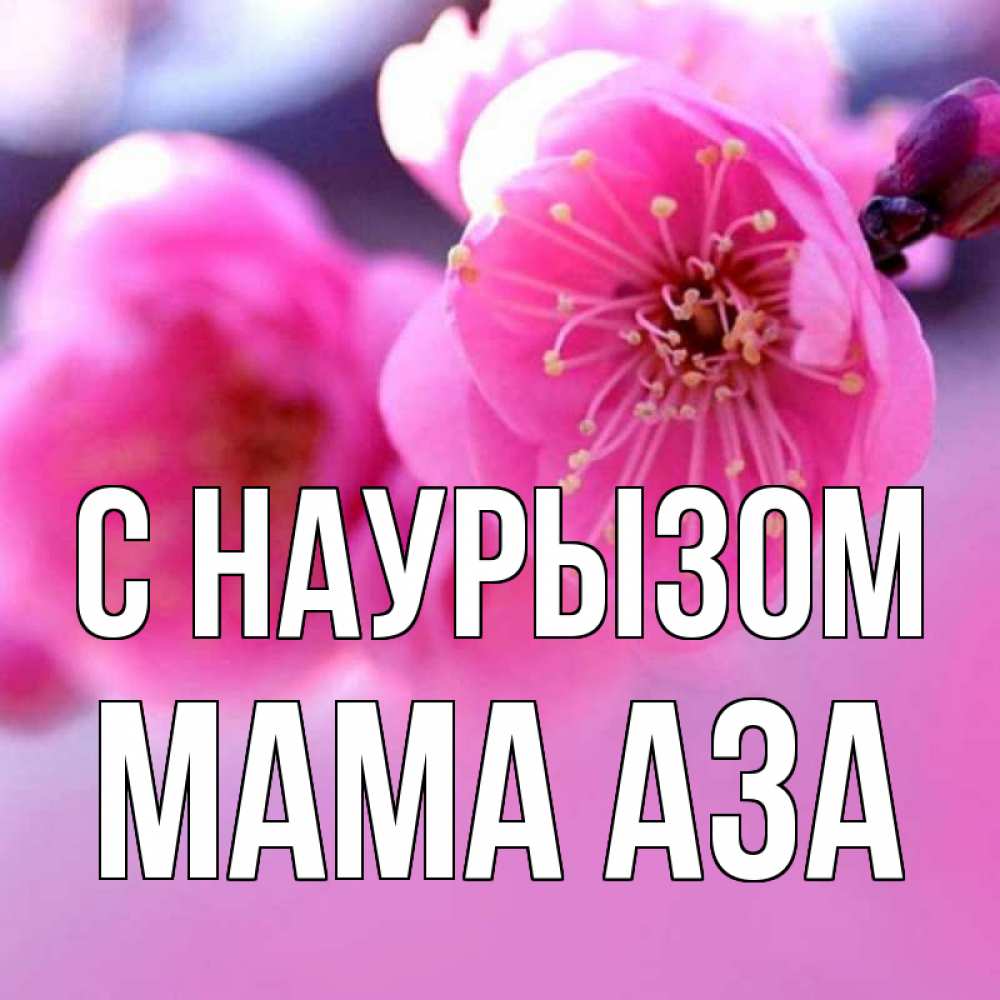 Открытка на каждый день с именем, Мама-Аза С наурызом международный женский день Прикольная открытка с пожеланием онлайн скачать бесплатно 