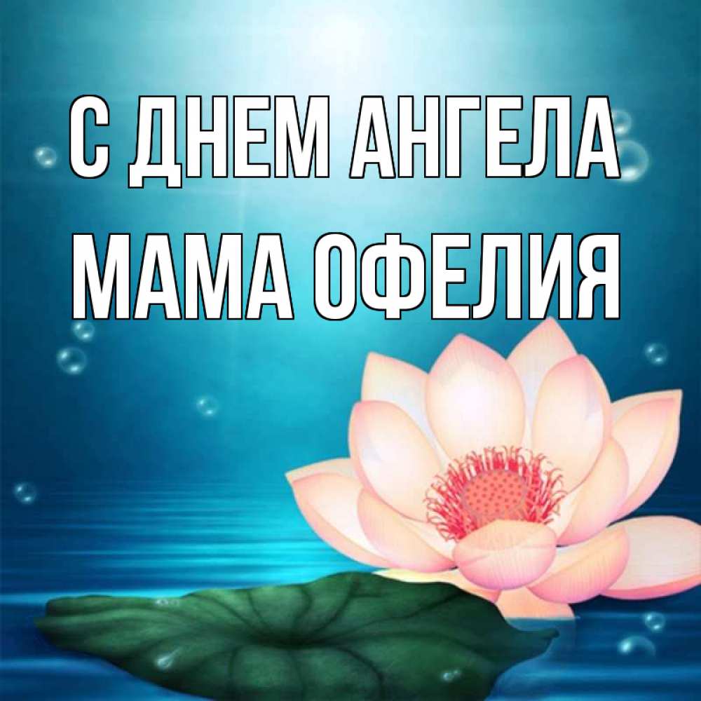 Открытка на каждый день с именем, Мама-Офелия С днем ангела кувшинка Прикольная открытка с пожеланием онлайн скачать бесплатно 