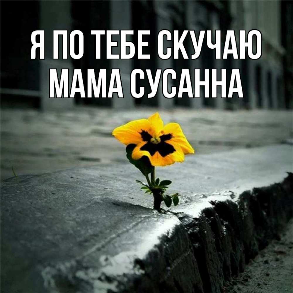 Открытка на каждый день с именем, Мама-Сусанна Я по тебе скучаю надеюсь будет лучше Прикольная открытка с пожеланием онлайн скачать бесплатно 
